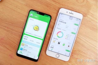小格雷攜手OPPO，為學(xué)生群體量身打造專屬手機
